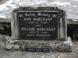 image of grave number 801894